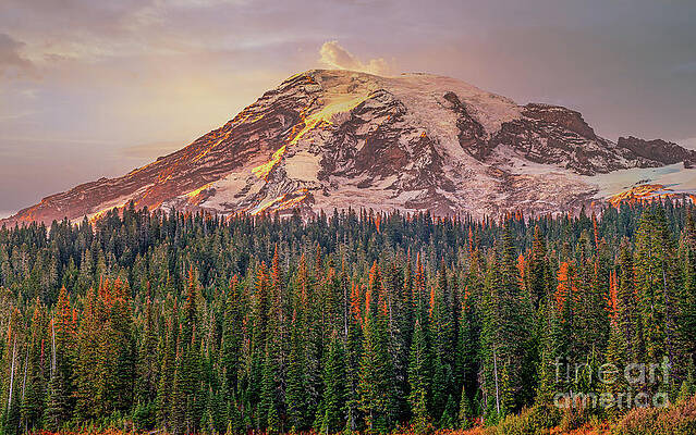 A Beautiful Sunset by DHEERAJ MUTHA A Beautiful Sunset by DHEERAJ MUTHA
