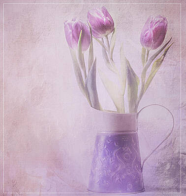 Wall Art - Photograph - A bouquet of three tulips by Sylvia Goldkranz