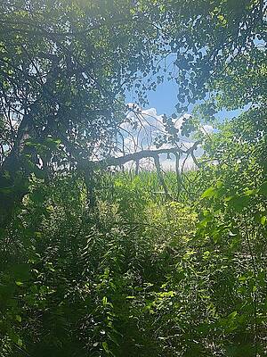 A Break In The Trees by Mario MJ Perron A Break In The Trees by Mario MJ Perron