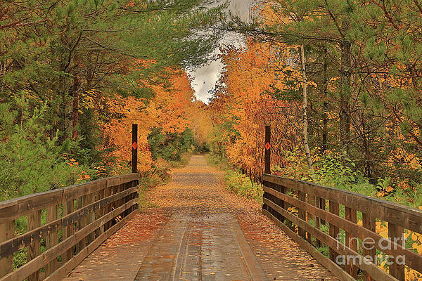 A Bridge Into Autumn by Bernard Kaiser A Bridge Into Autumn by Bernard Kaiser