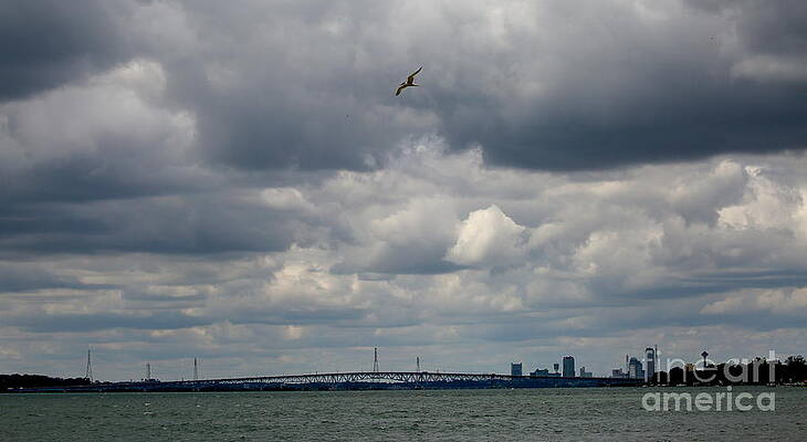 A Cloudy Tern Day by Tony Lee A Cloudy Tern Day by Tony Lee
