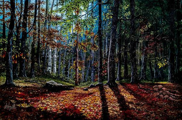 A colourful carpet of Autumn by Raouf Oderuth
