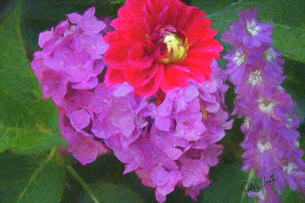 A composite photograph of backyard flowers. by Rusty R Smith A composite photograph of backyard flowers. by Rusty R Smith