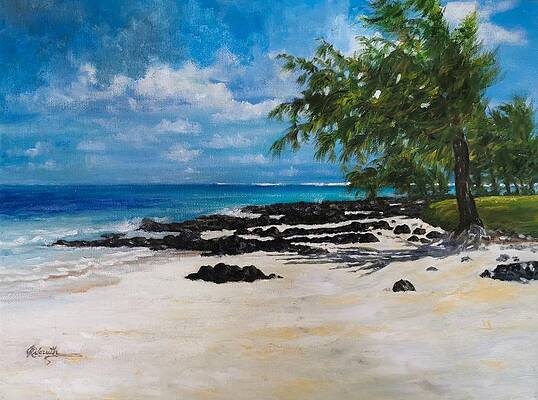 A deserted beach of Mauritius  by Raouf Oderuth