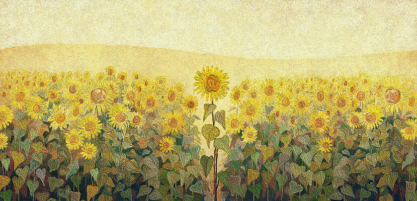 Page 2  Sunflower Field Drawing Images  Free Download on Freepik