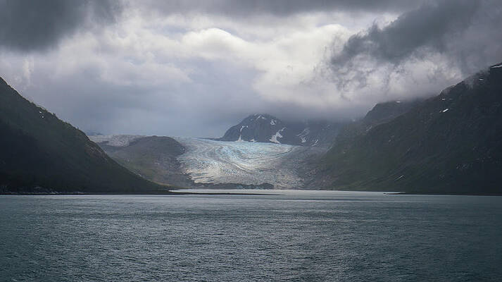 A Glacier Bay Stare by Ed Williams A Glacier Bay Stare by Ed Williams