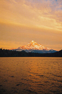 Wall Art - Photograph - A Golden Evening  by Alex Hinson