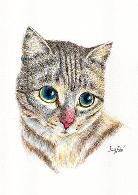 A Grey Tabby Cat Portrait by Jingfen Hwu A Grey Tabby Cat Portrait by Jingfen Hwu