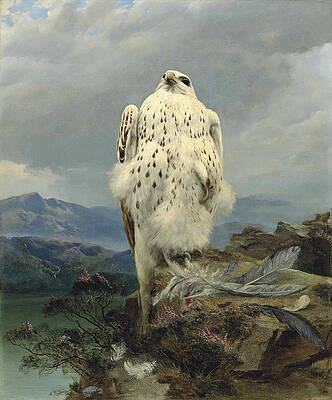 A Gyrfalcon In An Extensive Mountainous Landscape Print by Attributed to Joseph Wolf
