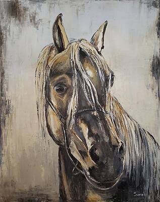 A horse with personality by Sunel De Lange A horse with personality by Sunel De Lange