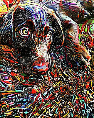 A Labradoodle Named Bacchius by Peggy Collins A Labradoodle Named Bacchius by Peggy Collins