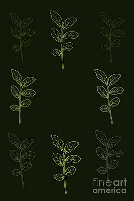 A leafy pattern by Clayton Bastiani A leafy pattern by Clayton Bastiani