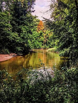 Wall Art - Photograph - A Little Color around the Bend IMG_5428 by Michael Thomas