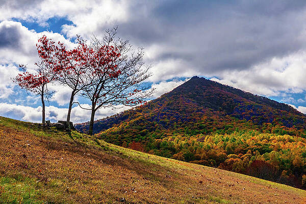 A Mountain of Fall Colors by Dan Carmichael A Mountain of Fall Colors by Dan Carmichael