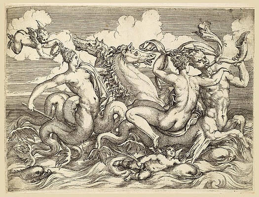 A Nereid Riding A Sea Centaur Accompanied By Other Sea Creatures Print by Angiolo Falconetto