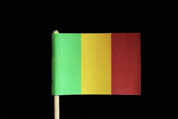 Wall Art - Photograph - A official and original flag of Mali on toothpick on black background. Consists of a vertical tricolour of green, gold and red. by Vaclav Sonnek