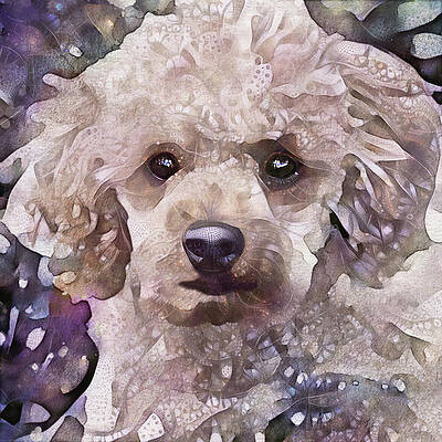 A Poodle Named Doodle by Peggy Collins A Poodle Named Doodle by Peggy Collins