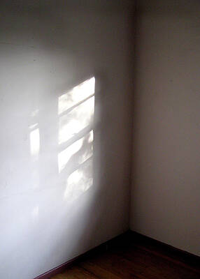 A Shadow of A Window by Cynthia Wands