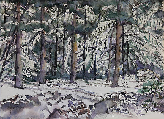 A snowy thicket by Aparna Pottabathni A snowy thicket by Aparna Pottabathni
