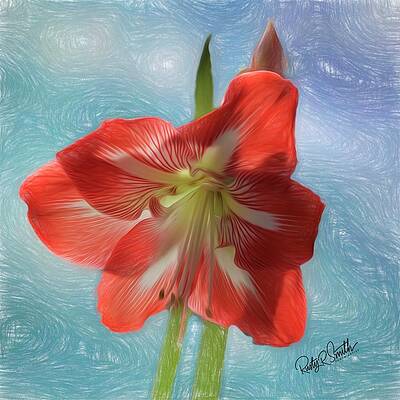 A soft view of a single amaryllis blossom. by Rusty R Smith A soft view of a single amaryllis blossom. by Rusty R Smith