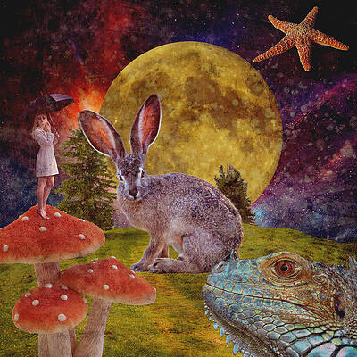 A Trip Through The Park by Ally White A Trip Through The Park by Ally White