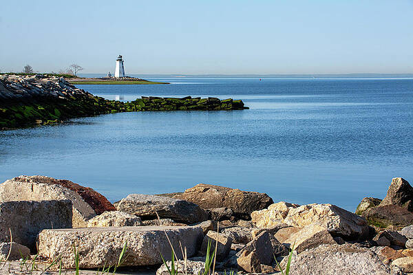 A View From Seaside by Karol Livote A View From Seaside by Karol Livote