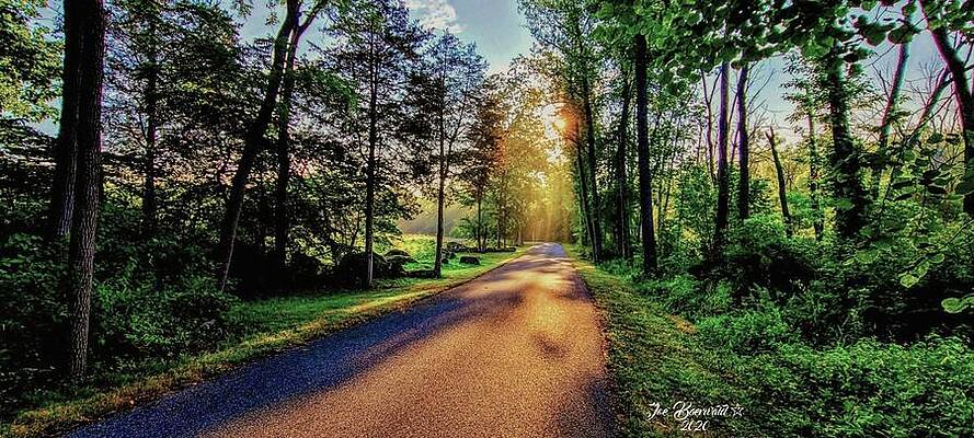 A walk in paradise by Joe Baerwald