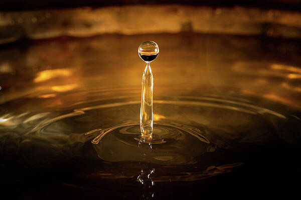  Photograph - A water droplets hitting the surface by Stefan Rotter