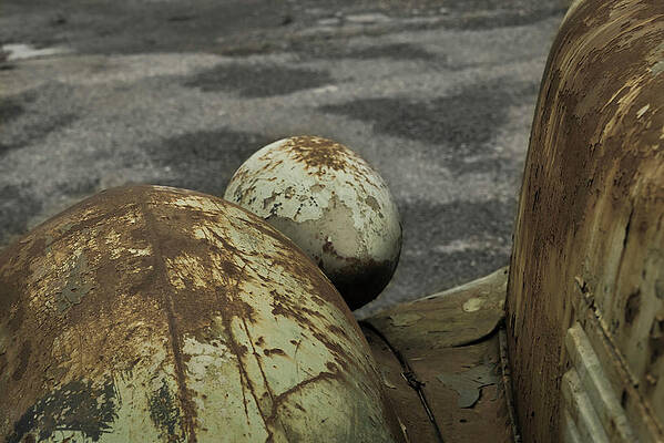 A Whole Lotta Rust by Guy Whiteley A Whole Lotta Rust by Guy Whiteley