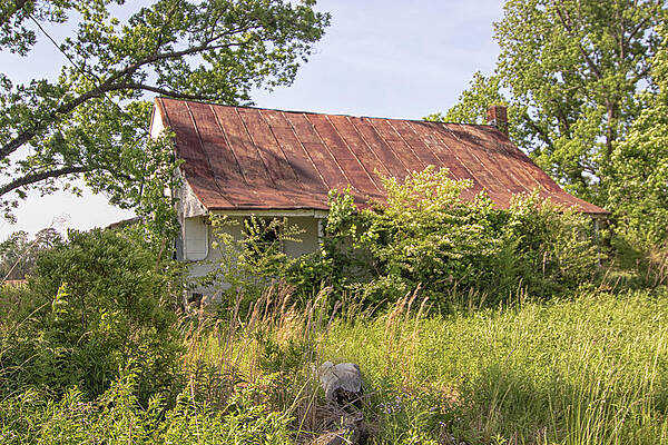Wall Art - Photograph - Abandoned House - Jones County North Carolina by Bob Decker