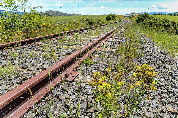 Abandoned by Werner Padarin Abandoned by Werner Padarin