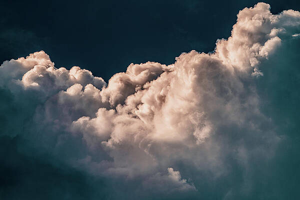 Wall Art - Photograph - Above by Rich Kovach
