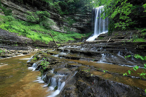 Abrams Falls by Chris Berrier Abrams Falls by Chris Berrier