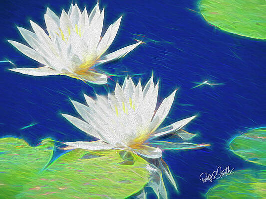 Abstract art photograph of two Lilly pad blossoms. by Rusty R Smith Abstract art photograph of two Lilly pad blossoms. by Rusty R Smith
