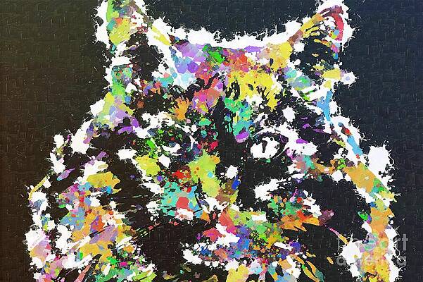 Wall Art - Painting - Abstract Colorful Portrait of a Funny Tuxedo Cat by Stefano Senise
