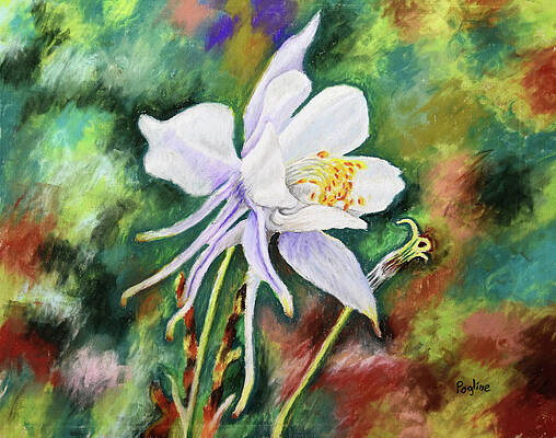 Abstract Columbine by John Pogline