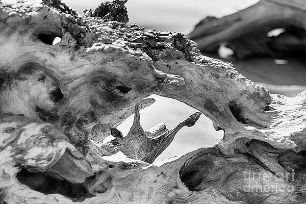 Abstract Whale Art Page 3 Of 11 Fine Art America
