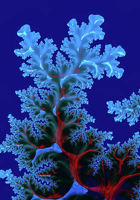 Wall Art - Digital Art - Abstract Fractal Art with Blue and Red tones by Matthias Hauser