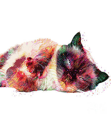 Hello Kitty Art Fine Art America