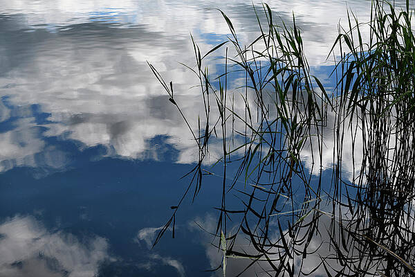 Abstract of reed grass and clouds reflected in Esthwaite Water l by Reimar Gaertner Abstract of reed grass and clouds reflected in Esthwaite Water l by Reimar Gaertner