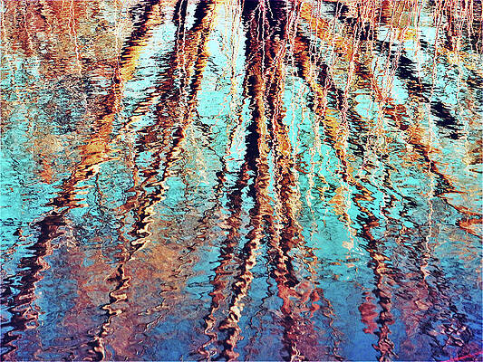 Abstract Water Reflections of Trees by Kathrin Poersch Abstract Water Reflections of Trees by Kathrin Poersch