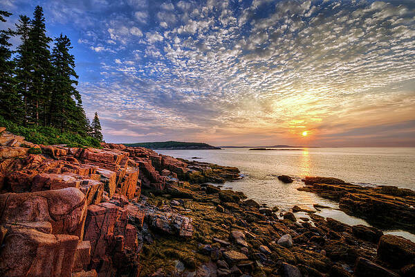 Acadia Sunrise 34A6792 by Greg Hartford Acadia Sunrise 34A6792 by Greg Hartford