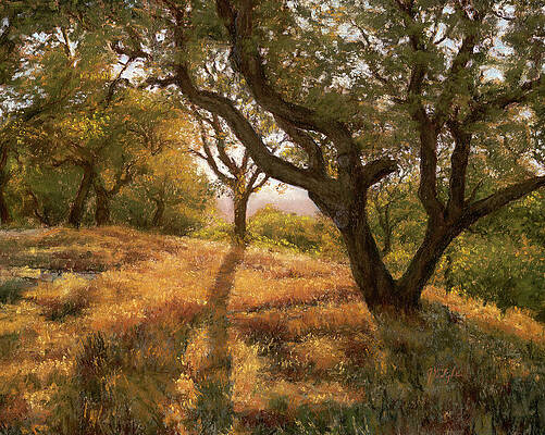 Adelaida Oaks by Jim Tyler Adelaida Oaks by Jim Tyler