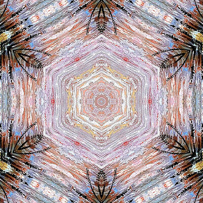 Wall Art - Digital Art - AFRICA - Kaleidoscope  by Themayart