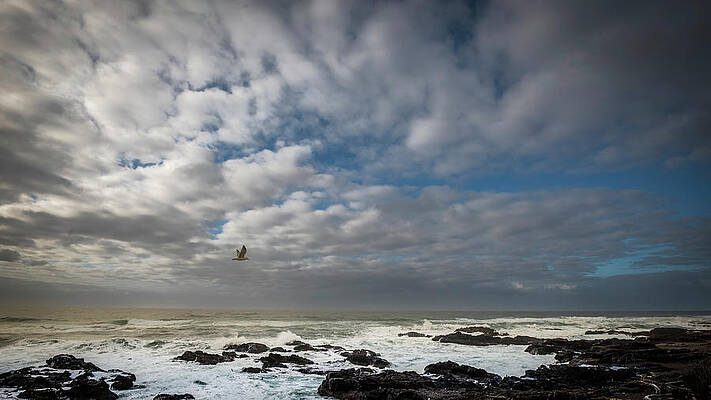 Afternoon on Yachats by Bill Posner Afternoon on Yachats by Bill Posner