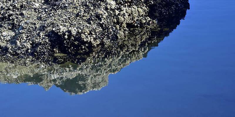 Agate Beach Reflections by Jerry Sodorff Agate Beach Reflections by Jerry Sodorff