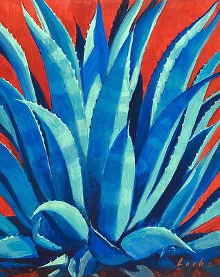 Agave by David Forks