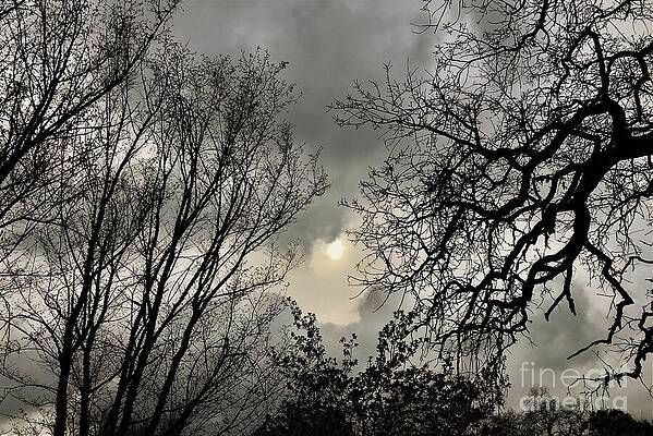  Photograph - Ahwahnee Mid-Winter by Steve Kellenberger
