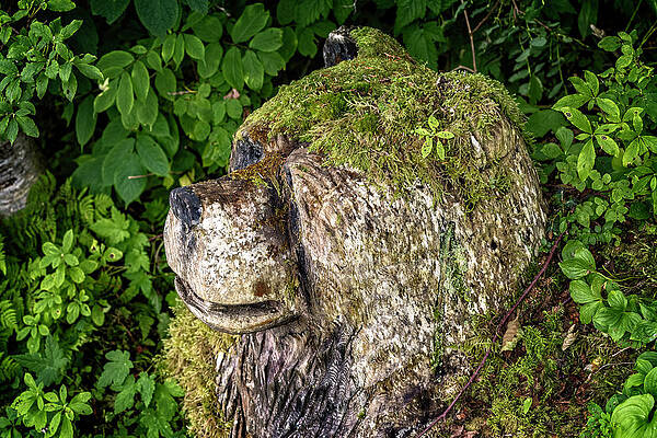 Alaskan Carved Bear by Max Huber Alaskan Carved Bear by Max Huber