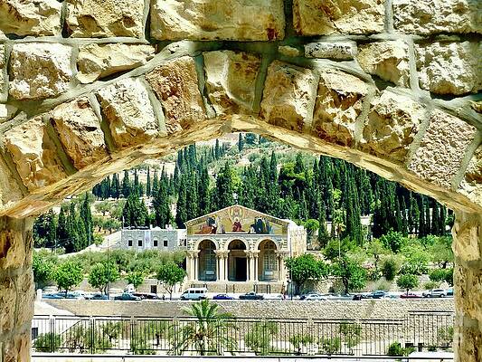 Wall Art - Photograph - All Nations Jehoshaphat Jerusalem  by Joseph Anthony Quattromini